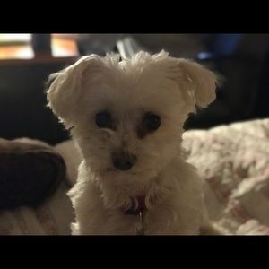 Meet your Posher, Vicki